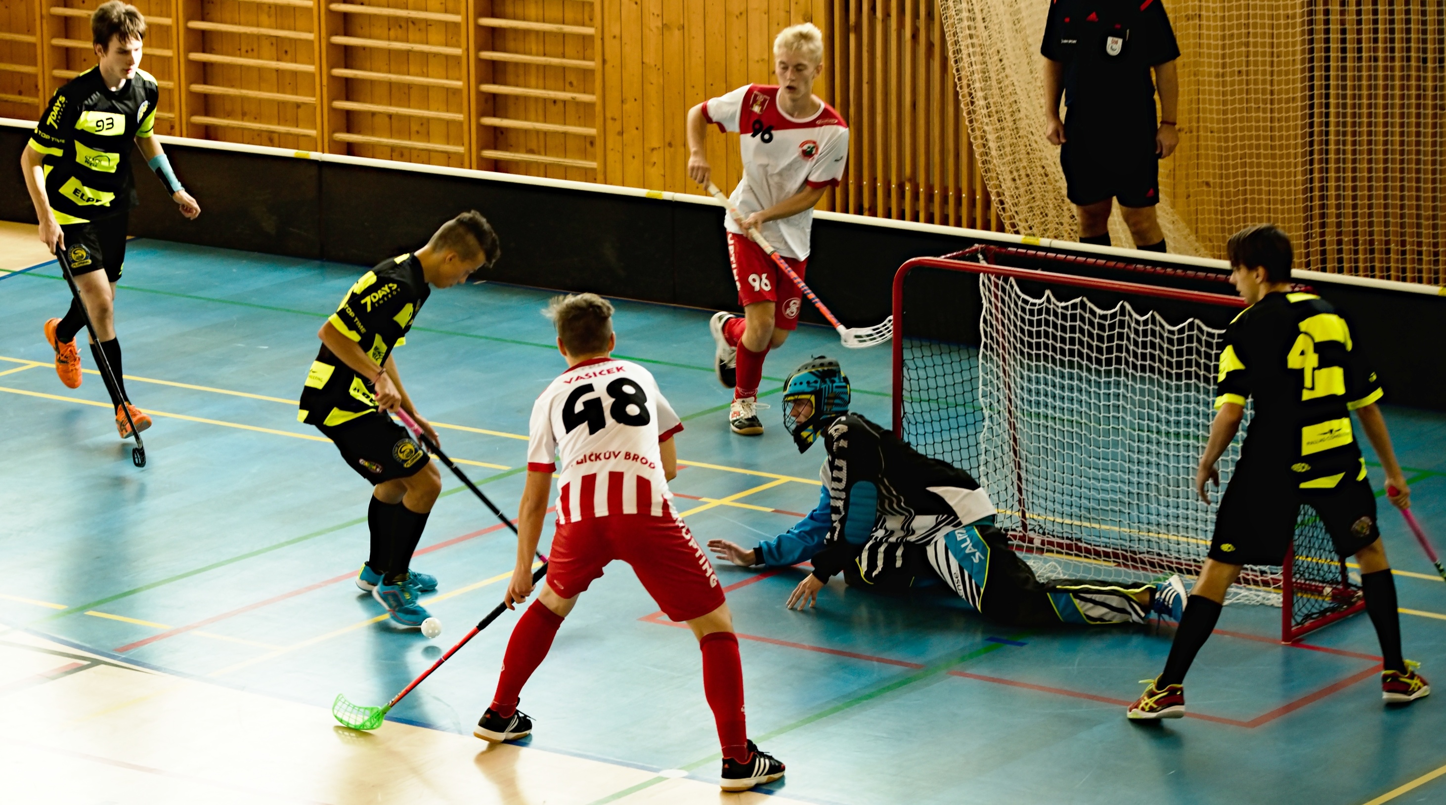 JunciLedec241015 034